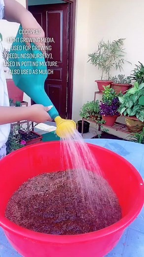 Coco Peat: Benefits, Usage, and More