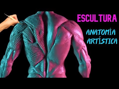 💪Cómo hacer una ESCULTURA de ANATOMÍA HUMANA - paso a paso (TUTORIAL 2024)