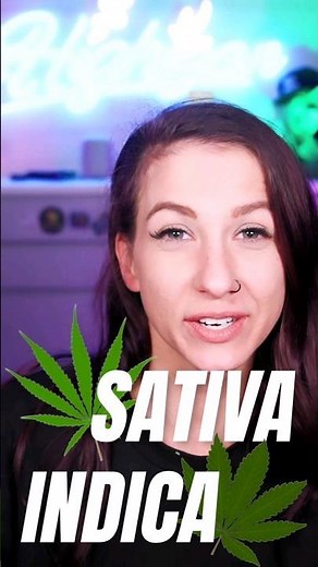 Indica / Sativa Are The Effects Different?