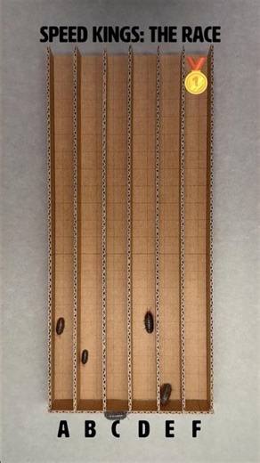 ISOPOD GRAND PRIX: The 6-Bug Sprint! 🏁💨