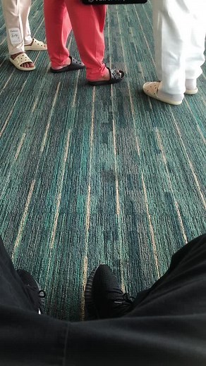 Exploring Modern Airport Terminal Design Concepts