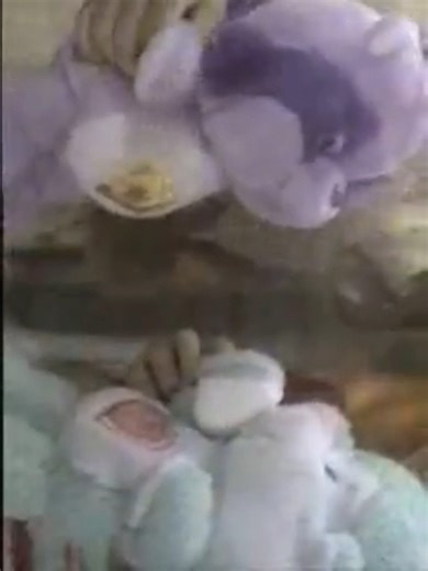 Care Bears cousins 1980s plush commercial
