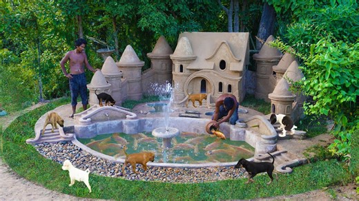 Building a Stunning Aquarium with a Modern Water System