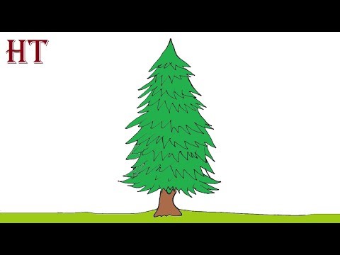 How to draw a spruce tree easy Step by Step