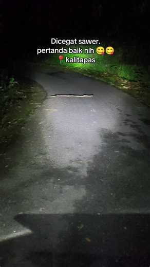 Tongseng ulo purun? #ular #phyton #hutan #horor #fyp