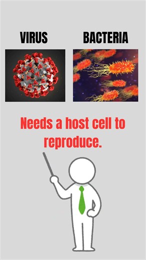 Did you know?#basicknowldege