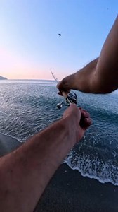 While fishing, this person made their first cast of the day and accidentally hit a pigeon flying by, causing it to fall into the water. They tried to rescue it, but as soon as the bird got out, it escaped into a small hole in the rocks that was too narrow to follow. In the end, the pigeon couldn’t be found again. | Jukin Copyright Management | Facebook