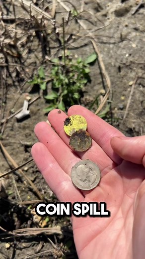 97K views · 1.9K reactions | Eyeballed coins in a field! Wish they were 200 years older haha. #coin #coinspill #metaldetectingfinds #treasure #treasurehunting #exploremore #nuggetnoggin #reelsfb #antiques #money | Nugget Noggin | Facebook
