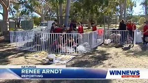 7.3K views · 86 reactions | A future generation of farmers is being fuelled through learning at Katunga Primary School.. The paddock to plate unit teaches the kids about the industry behind their food and what's entailed in a farming career. | WIN News Shepparton | Facebook