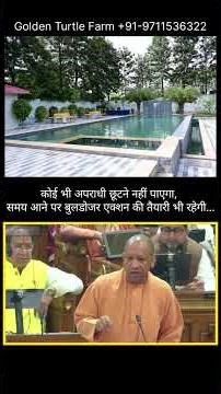 Golden Turtle Farm 4BHK farm Best hotels & Resorts Sariska Hospitality #ecoresort
