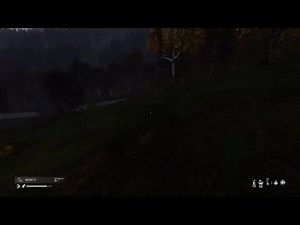 DayZ "cheeseburger bird" skyrim conspiracy