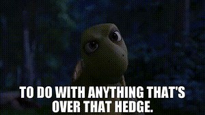 to do with anything that's over that hedge.