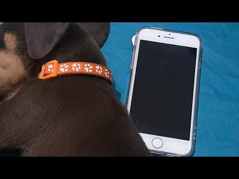 Unboxing IPhone 7 Pinkgold🩷 from AliExpress