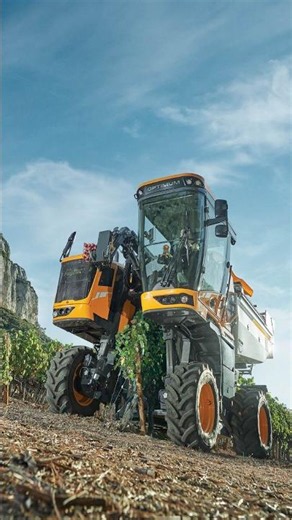 Can a Dual Roller Brush Crane Really Save Your Crops from Leaf Damage and Boost Yield?