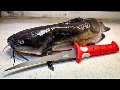 The ONLY CATFISH FILLET Tutorial You'll Ever Need!