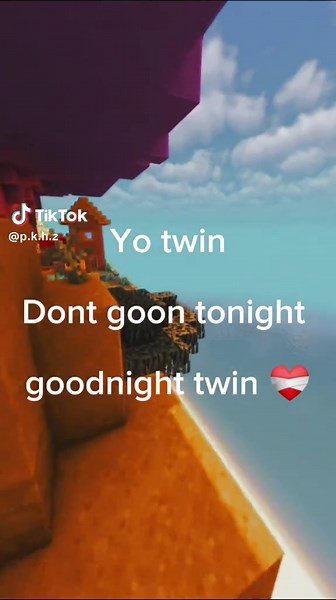 I believe in u twin #motivation #selfimprovement #minecraft #lockin #hopecore