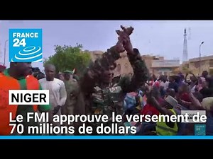 IMF approves payment of 70 million dollars to Niger • FRANCE 24