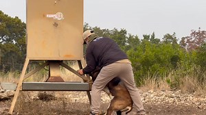 Sometimes ya just never know what you’re going to find in the field! Give Ef a medal for bravery! #ftwranch | SAAM Training by FTW