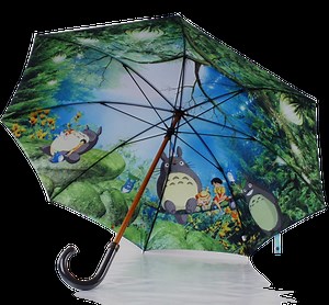 Huifeng Umbrella -
