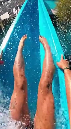 water slide into pool of giant fish #funny #memes