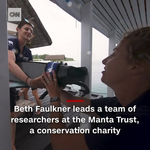 39K views · 390 reactions | The Maldives has the biggest population of manta rays in the world; the conservation charity Manta Trust studies them and fights for their protection. https://cnn.it/3DXAceS | CNN | Facebook