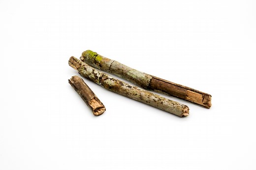 EPO OBO: the World’s #1 “Anti-Evil” Plant?