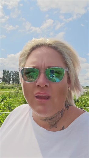 Understanding Thoroughbred Stallions, Geldings, and Mares