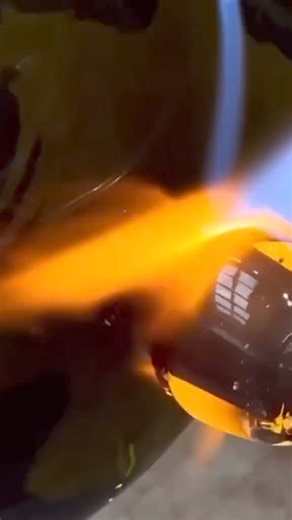 13K views · 338 reactions | Interesting facts science can’t explain #didyouknow #sciencefacts #2024facts #LearnOnTikTok #creepyfacts | Curious Minds | Facebook