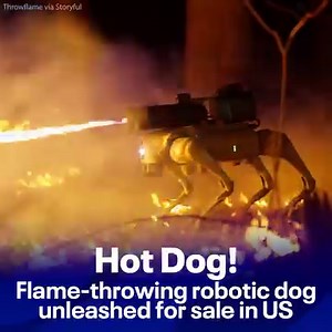 52K views · 146 reactions | Talk about fighting fire with fire! Throwflame first released the contraption last year but recently announced it was back in stock, asking for $9,420 apiece. The company says it can "send streams of fire up to 30 feet with the push of a button." https://www.fox5ny.com/news/flame-throwing-robotic-dog | FOX 5 NY | Facebook