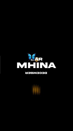 I Built the World's Largest ZB Dada R