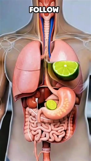 Health tips ✨✨ | health box