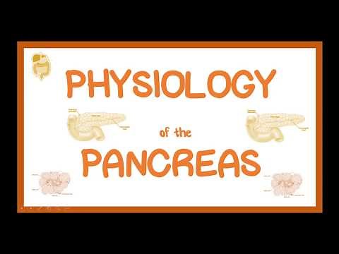 PHYSIOLOGY OF THE PANCREAS