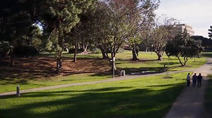 1.1K views · 32 reactions | UC Irvine is setting the curve for their...