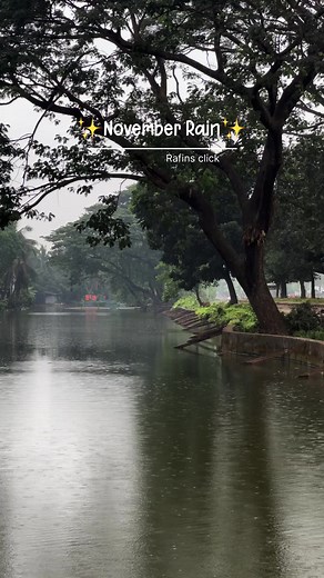 10K views · 570 reactions | November Rain ☔️ | Rafins click | Facebook