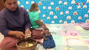 Brother Jason Patiently Convince Baby Jason To Stop Pull Mouth | Monkey Jason