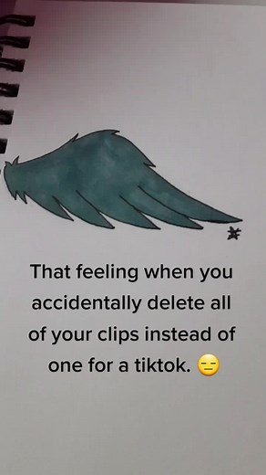 This was the wing that I was drawing for a remake of my how to draw wings tutorial. Didn't press the right thing. #art #drawing #why #relatable