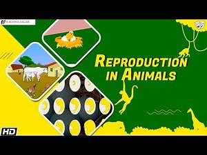 Reproduction in Animals | Be a Scientist Class 4 | Educational Videos | Rachna Sagar