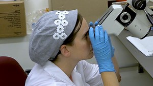 Inducing Apical Periodontitis in Mice