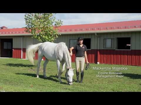 Equine Science & Equestrian Program at Otterbein University