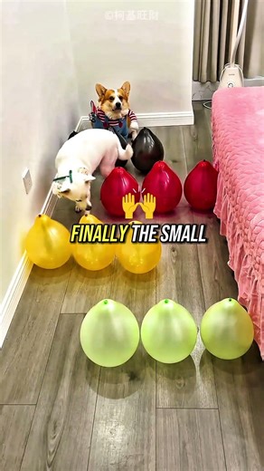 The Obstacle Challenge That Ended in Chaos #shorts