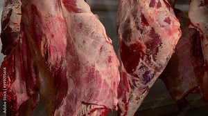 butchering of pork and beef carcasses production of minced meat from pork and beef meat in the stuffing machine of the meat processing plant