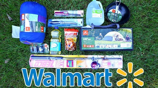 $100 Walmart survival challenge completed with ten items