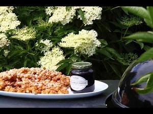 Hyldeblomstpandekager Alletiders Kogebog