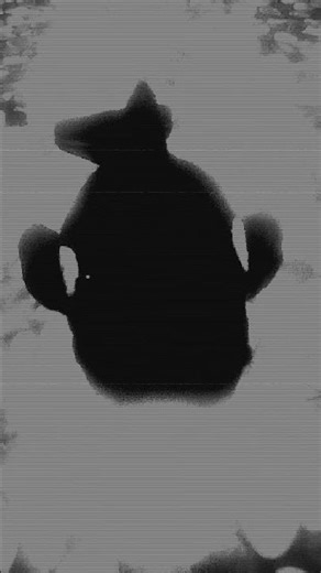 boneka ku bergerak sendiri pada saat aku lagi emosi