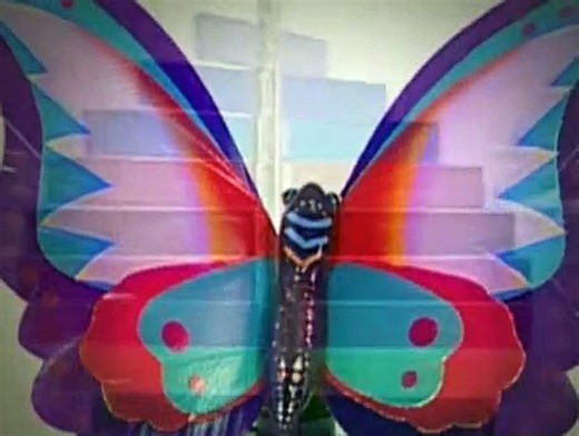 Baby Einstein S01E15 - Baby Mozart Music Festival