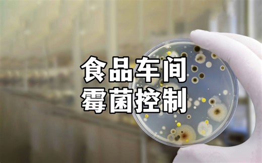 食品车间霉菌污染后如何制定消毒流程和计划 奥克泰士杀霉菌就用杀孢子剂