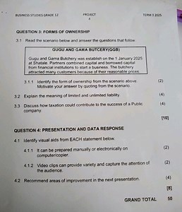 BUSINESS STUDIES GRADE 12PROJECT 4 TERM 3 2025QUESTION 3: F... | Filo