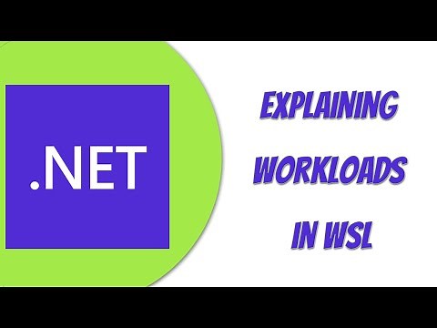 What are dotnet workloads?