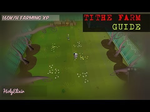 OSRS - Best Tithe Farm Guide + Grapes (160k/h Farming Xp)