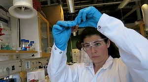 8K views · 139 reactions | Though it's mostly fed to animals, wheat...